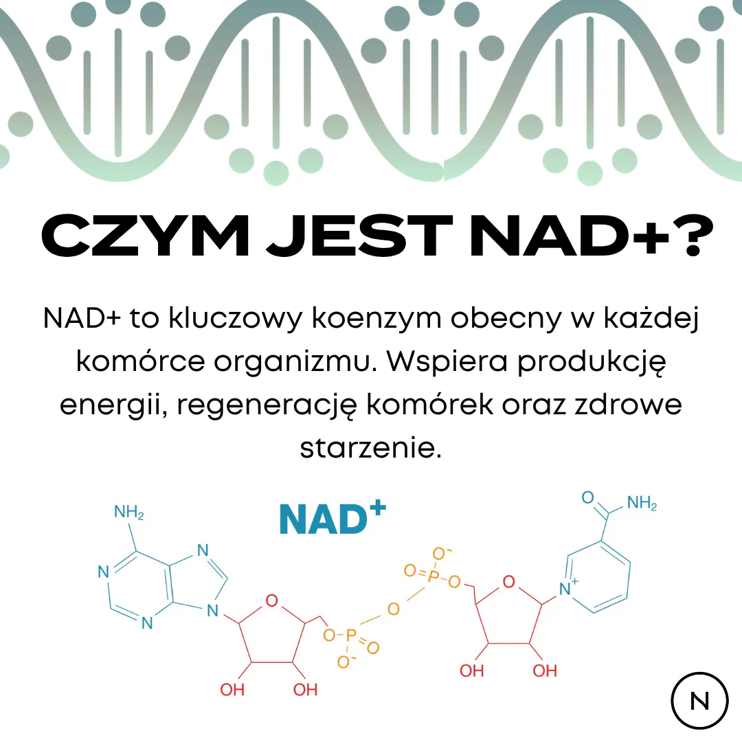 Zdjęcie produktu 3