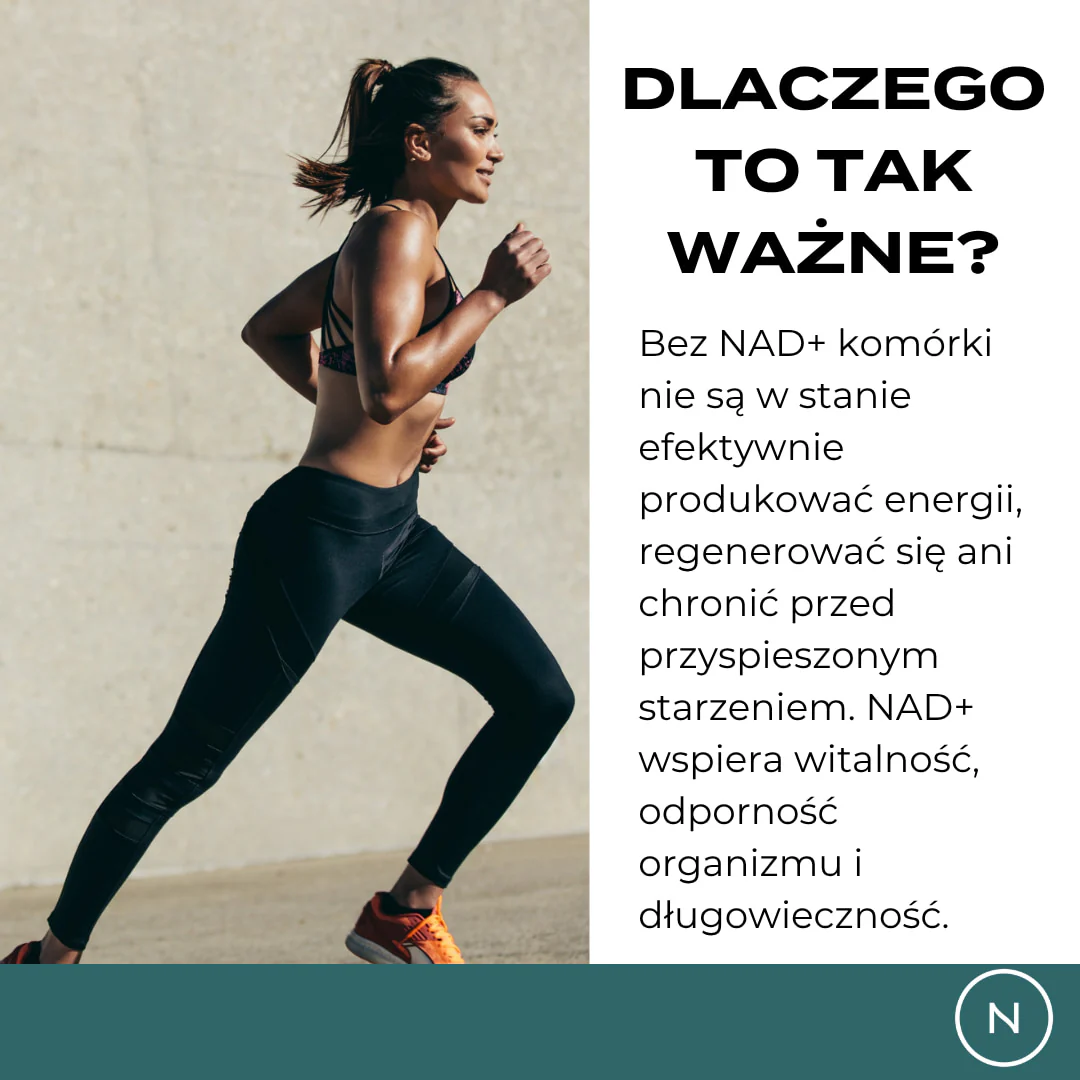 Zdjęcie produktu 5