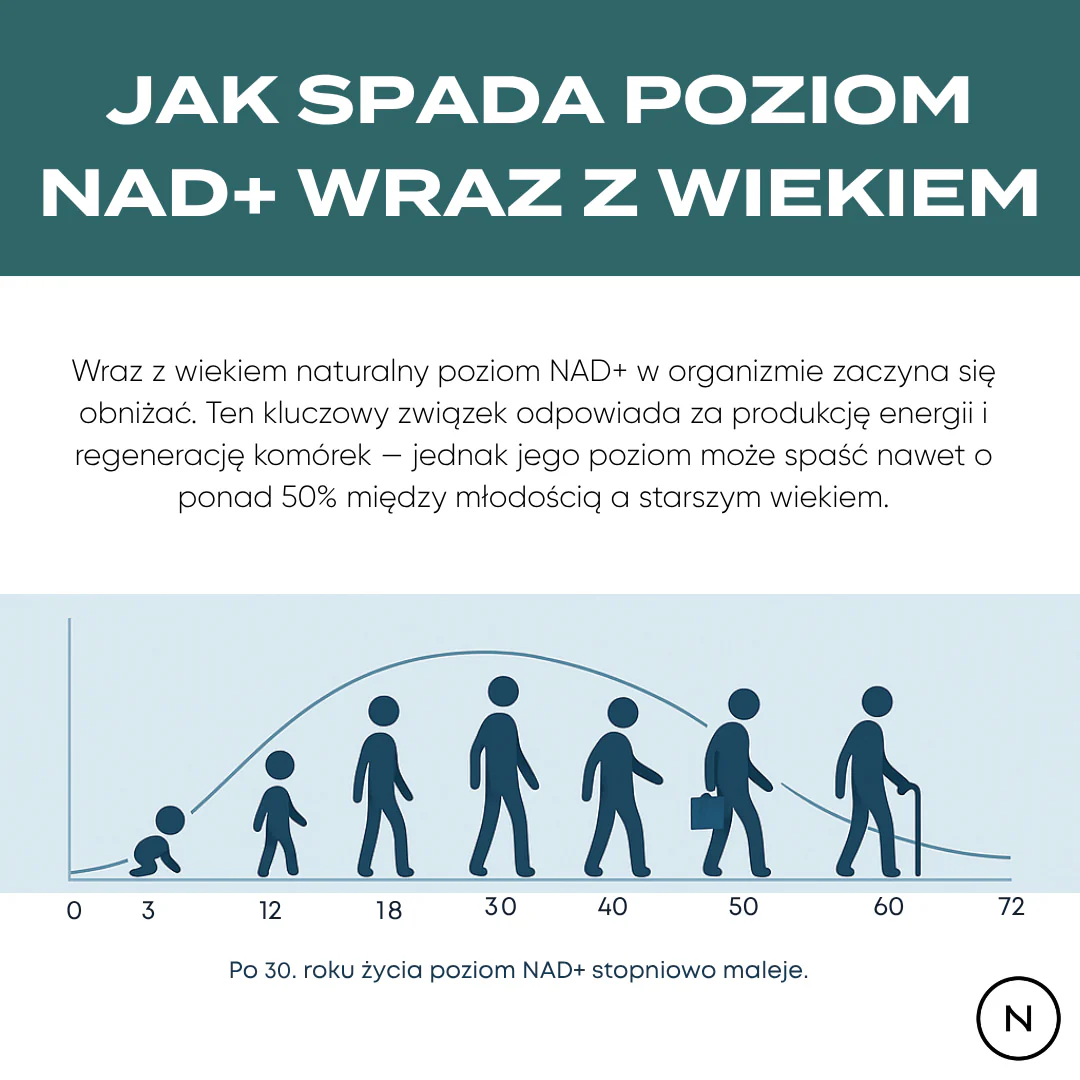 Zdjęcie produktu 6