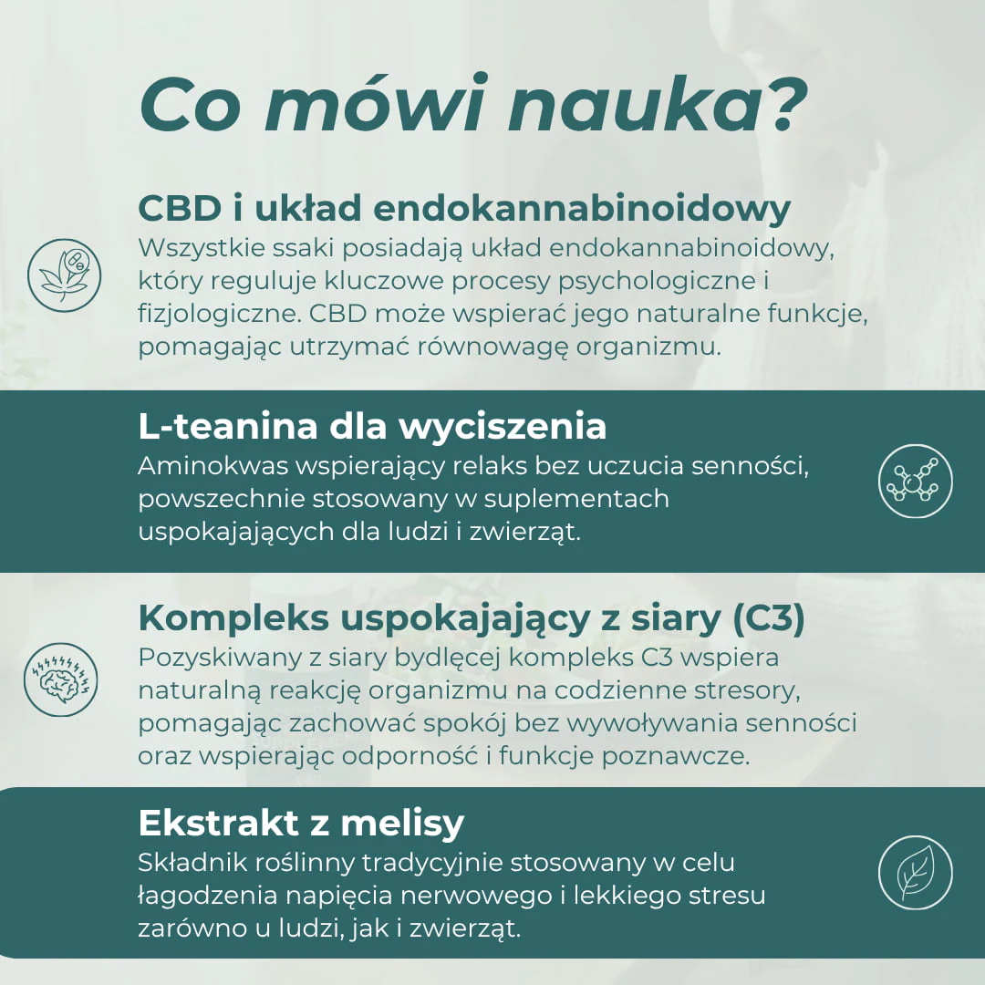 Zdjęcie produktu 5