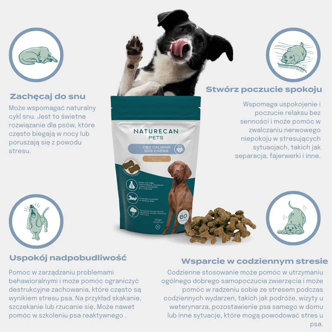 Zdjęcie produktu 9