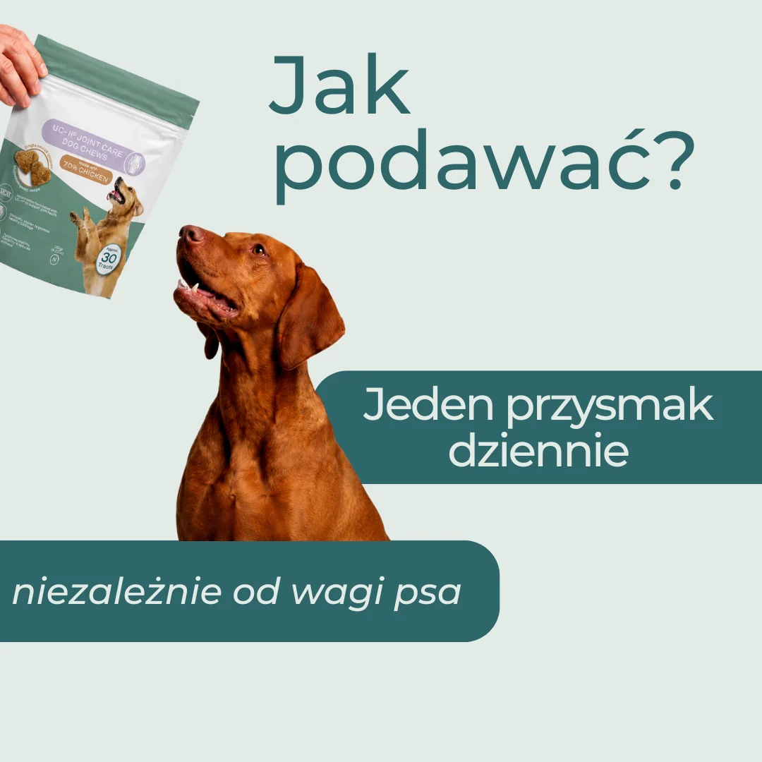 Zdjęcie produktu 9