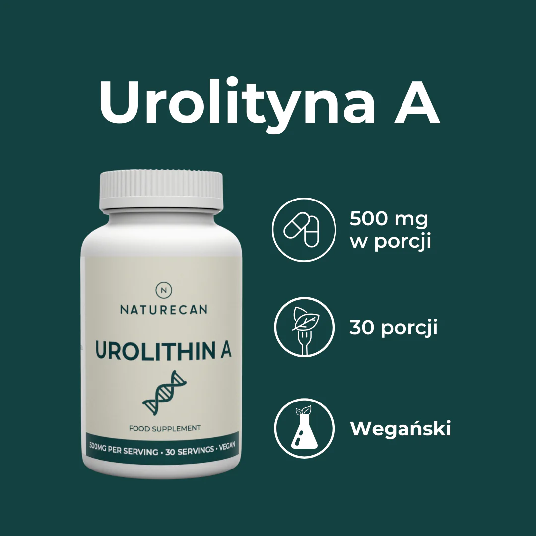 Zdjęcie produktu 2